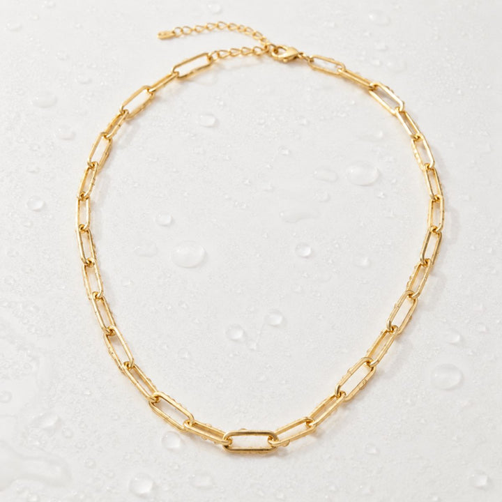 THE VELA CHAIN