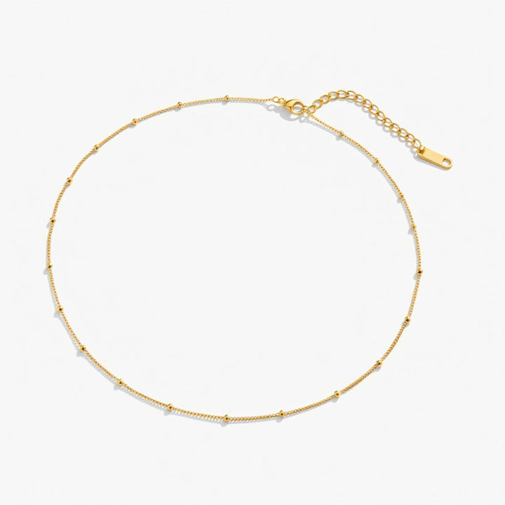 THE PEARLA CURVE NECKLACE