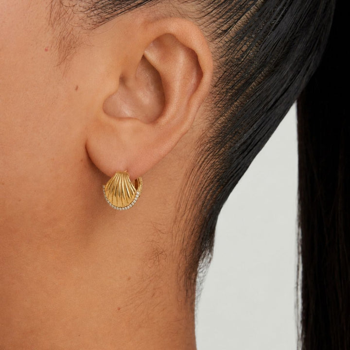 Spark Shell Earrings