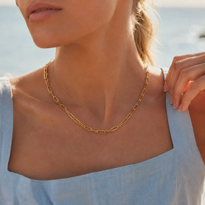 THE VELA CHAIN