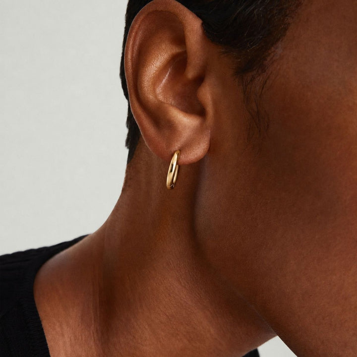 The Aurora Earrings