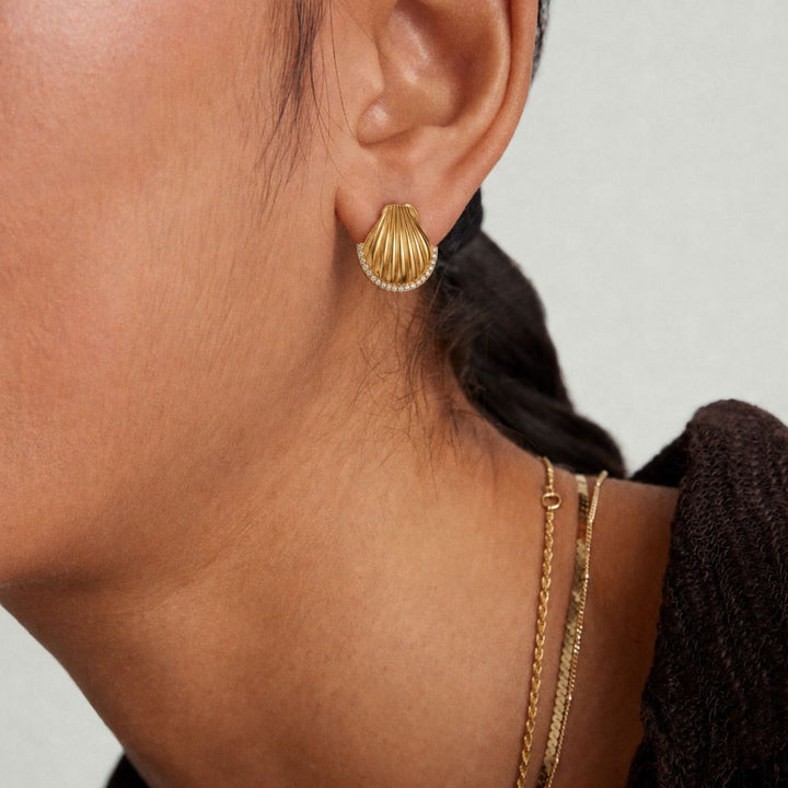 Spark Shell Earrings